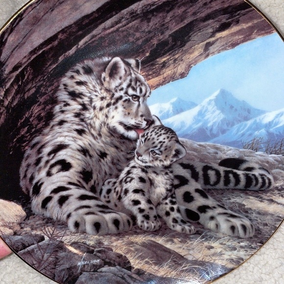 The Snow Leopard Will Nelson Vintage Last of Their Kind Endangered Species Plate - Picture 3 of 13